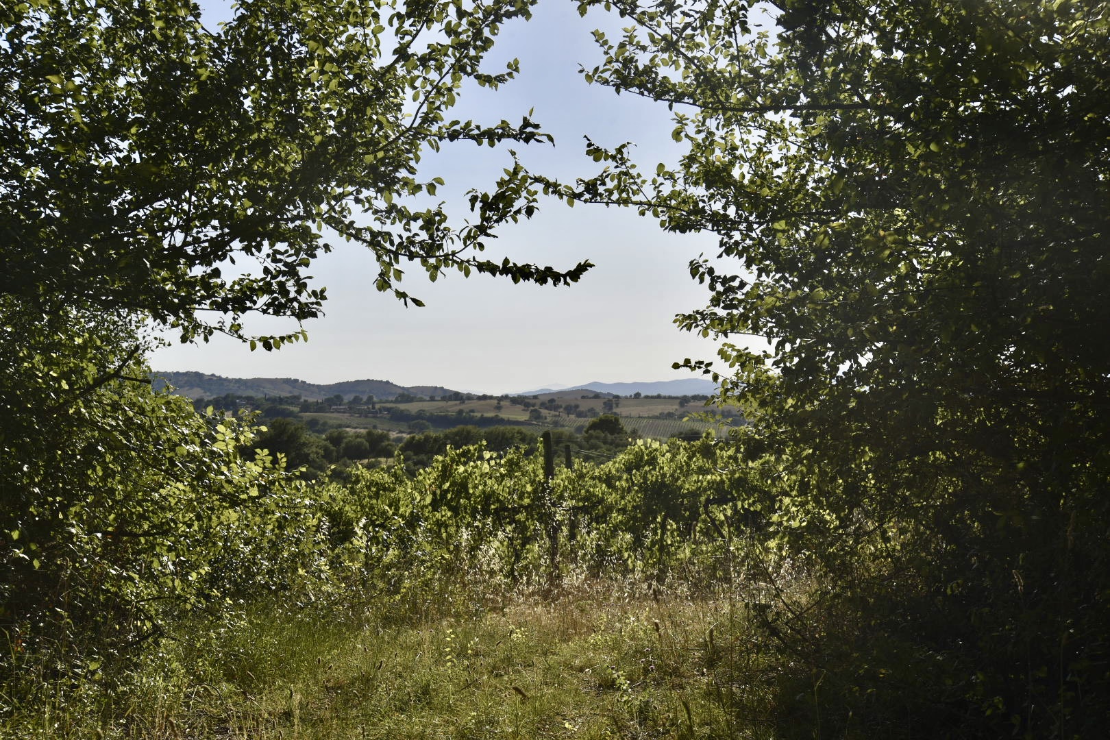 Agriturismo Madrechiesa outdoor view
